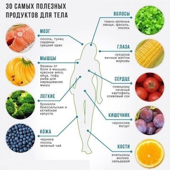 Саше нужно правильно питаться braintest