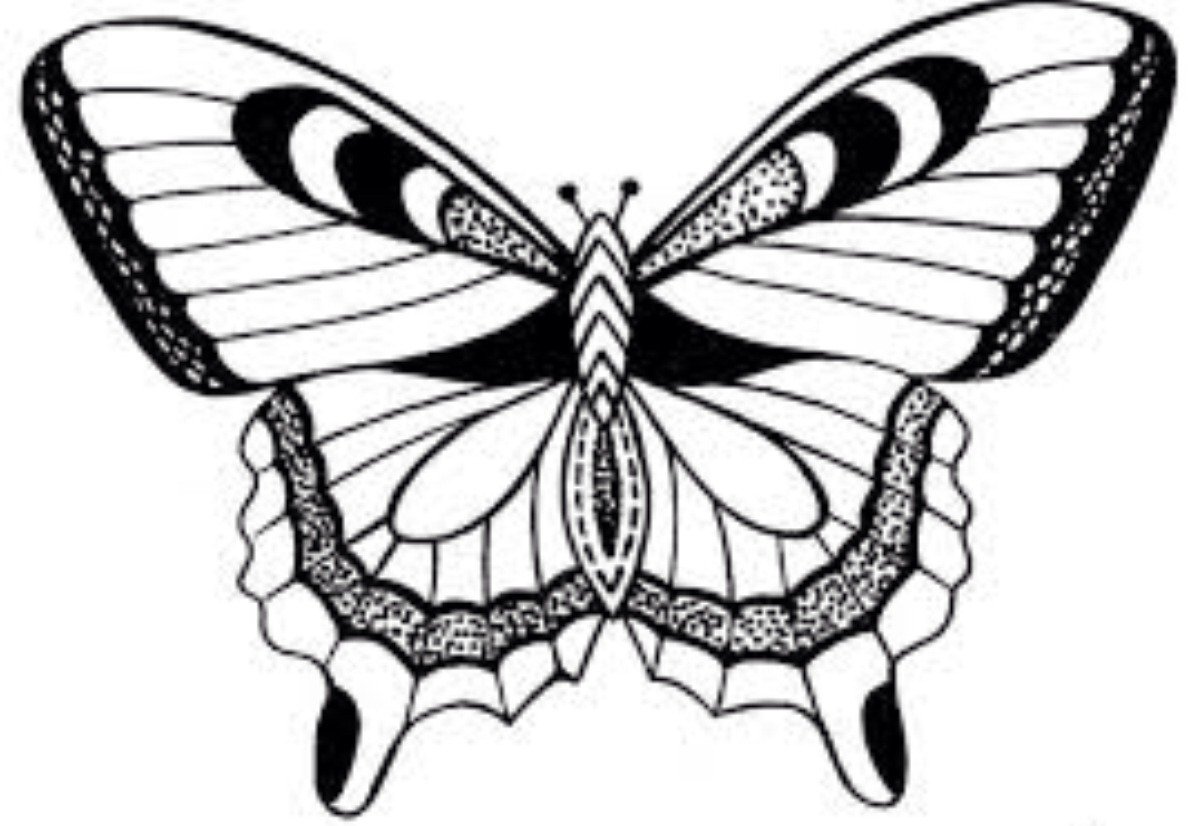 Бабочки картинки для печати