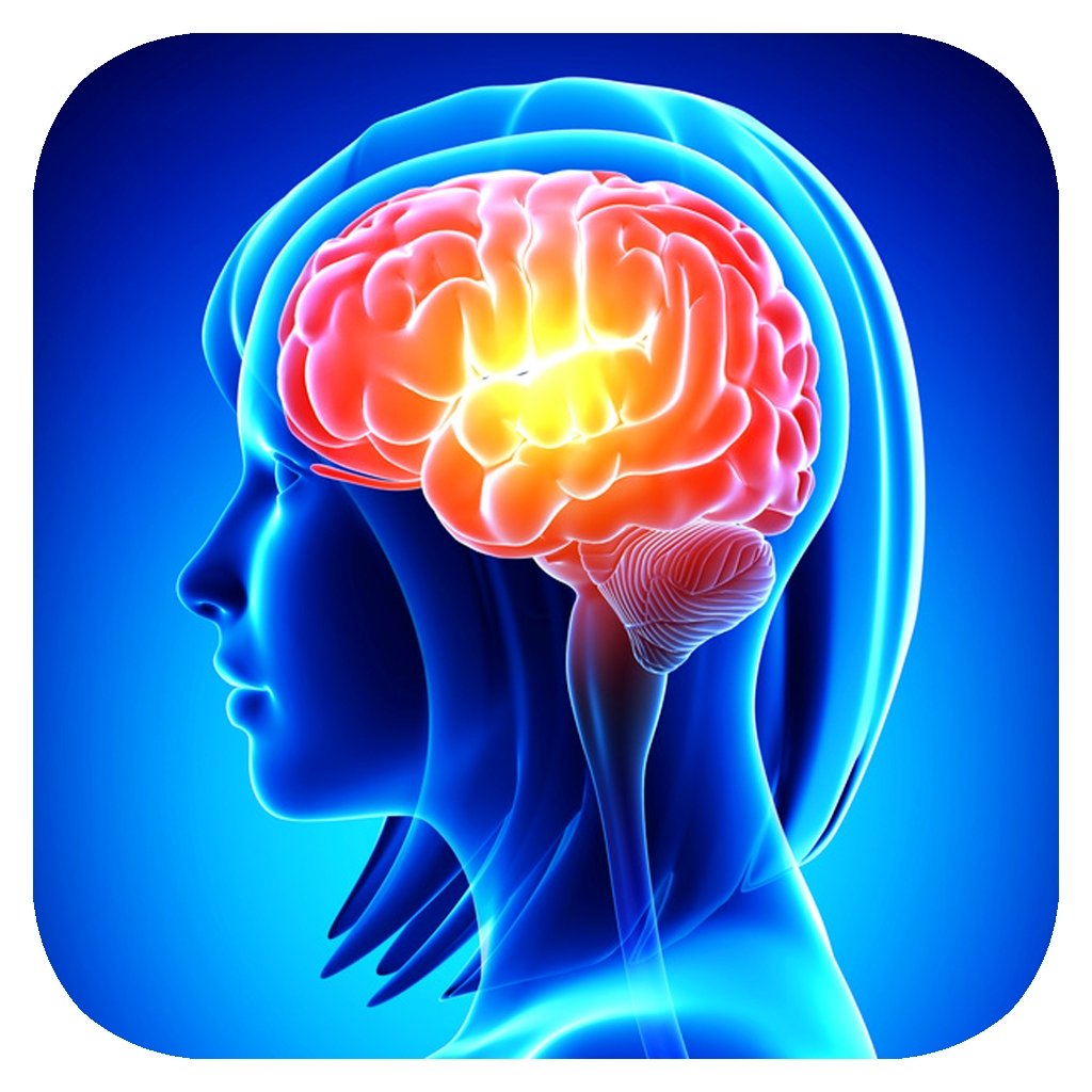 Исследование мозга женщины. Мозг Сток. Женщина с мозгами.