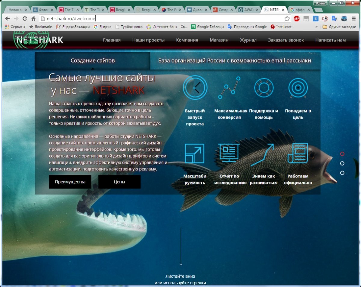 Справочные сайты екатеринбурга. Shark net. SHARKNET монтаж. NETSHARK.
