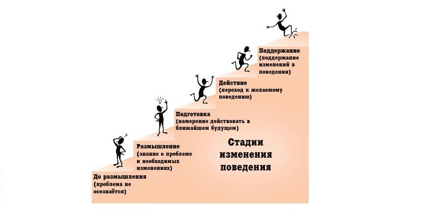 Электронная схема жизни