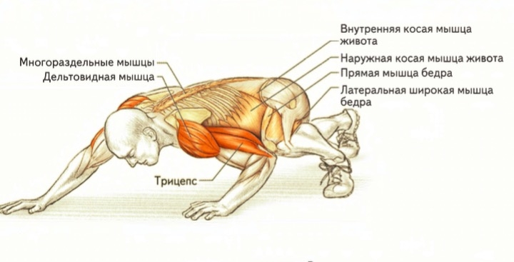 Планка группы мышц