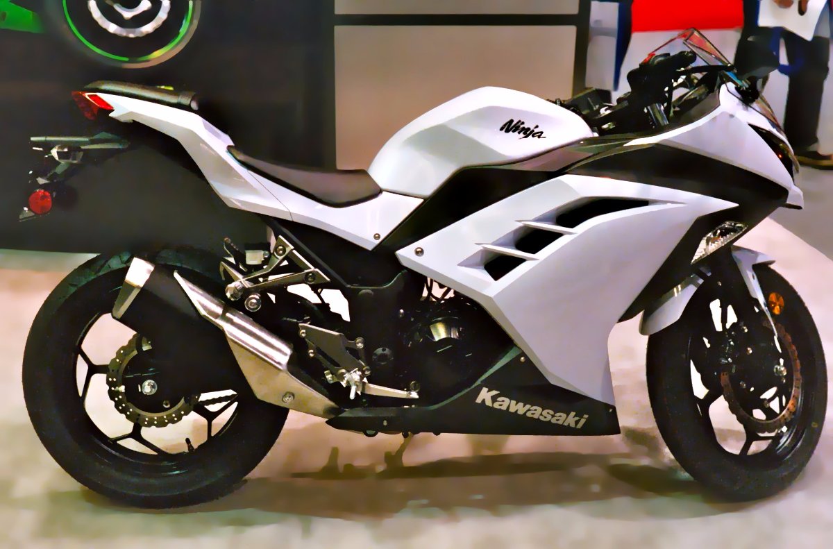 Kawasaki Ninja 300 Stunt