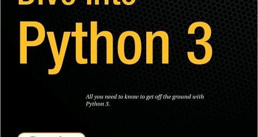 Dived into перевод. Dive into Python. Dive питон. Дайв инто питон. Погружение в питон Мем.