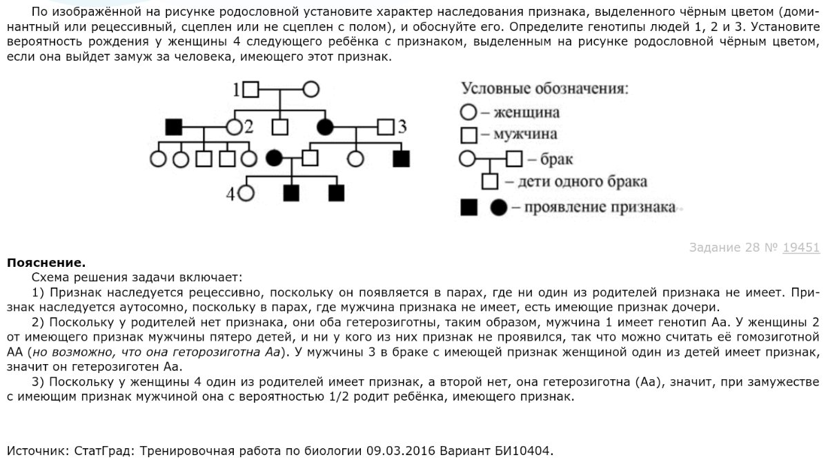 Псевдоаутосомные задачи по генетике