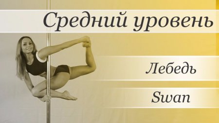 Энциклопеция Пол Денс (Pole Dance)