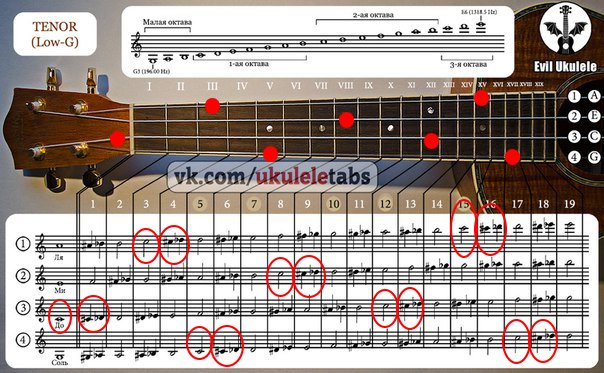 Сыграй какую. Ноты на грифе укулеле сопрано. Ноты на укулеле расположение. Расположение нот на грифе укулеле. Расположение нот на грифе укулклеле.