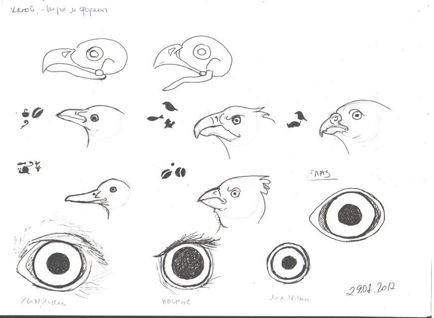 Глазки птицы. Глаз птицы. Птичий глаз рисунок. Глаз птицы рисунок. Глаза для птицы нарисованные.