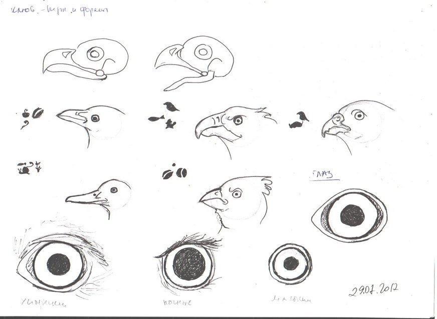 Как нарисовать глаз птицы