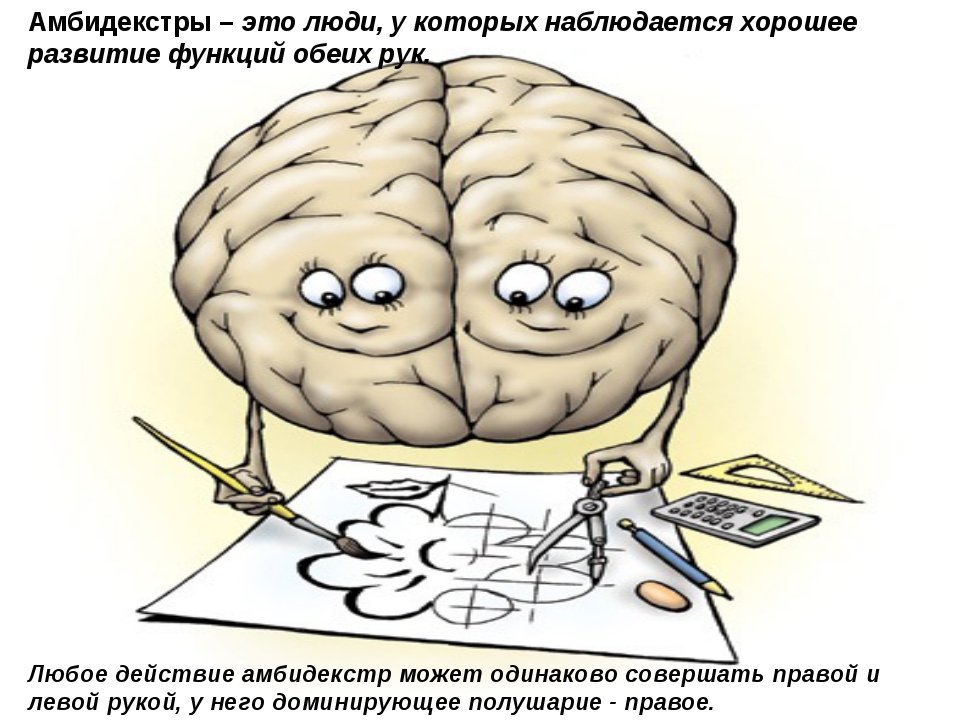 Человек владеющий правой и левой рукой одинаково. Амбидекстр. Развиваем мозг. Два полушария мозга. Развиваем оба полушария мозга.