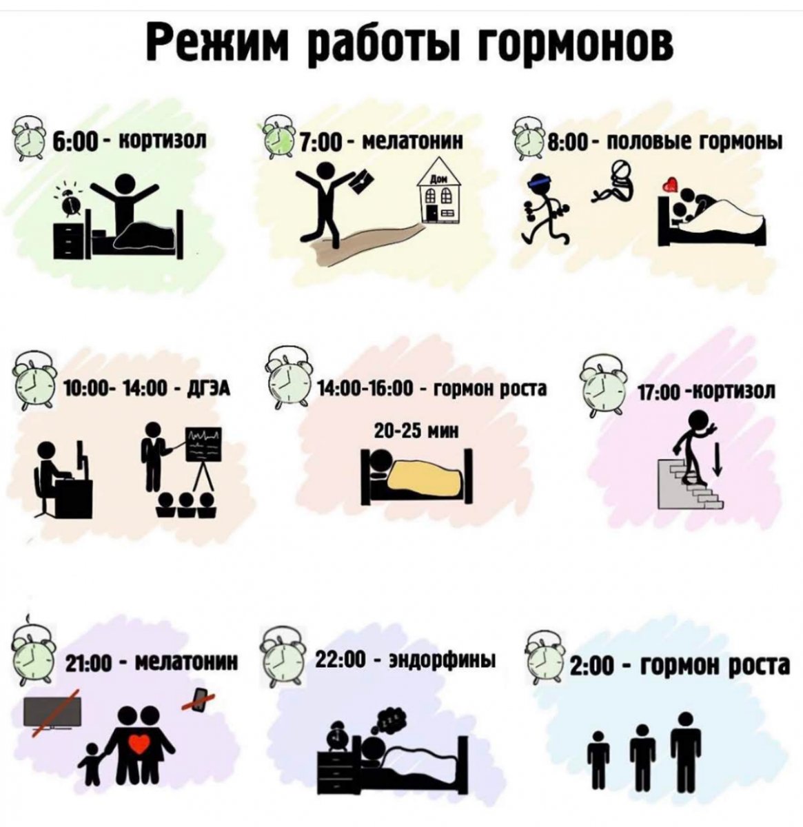 Повышенный кортизол не могу похудеть в домашних условиях Повышенный кортизол не могу похудеть в домашних условиях