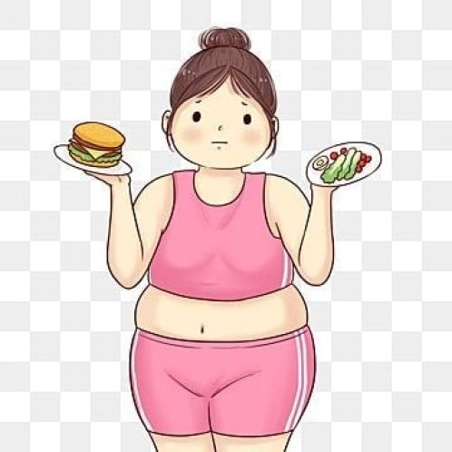 Диета Магги